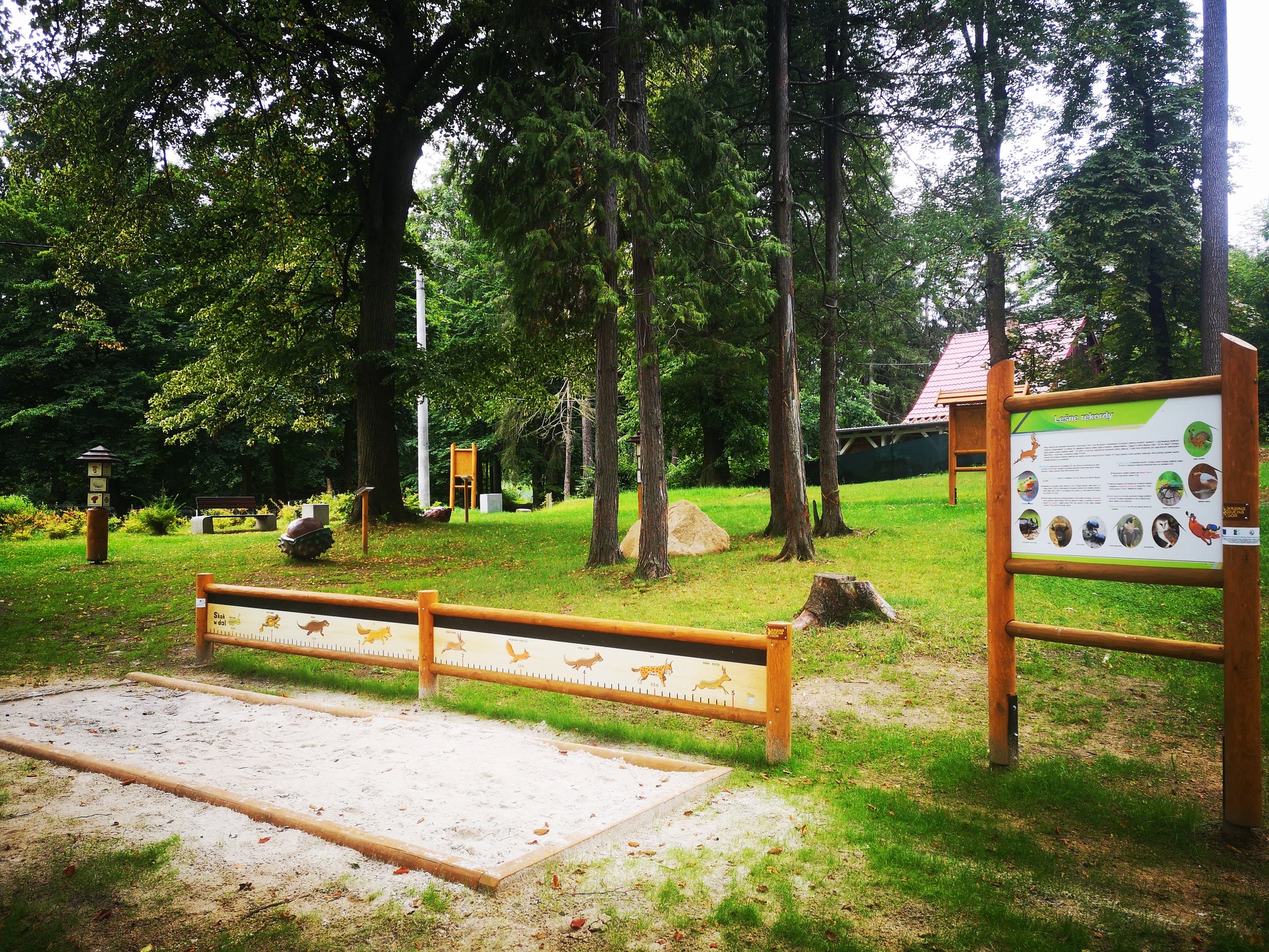 edukacja-i-relaks-w-rudawskim-lesie-91289