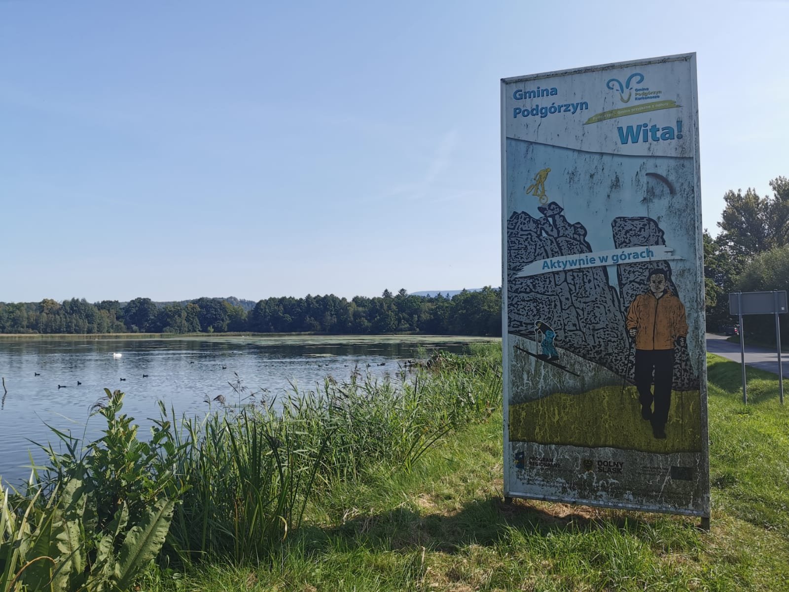 to-jest-antywitacz-91369