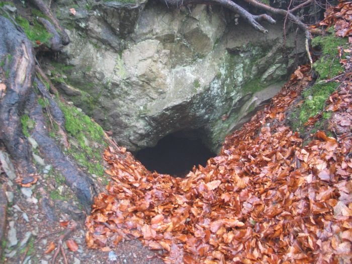 wandale-kontra-naukowcy-91373