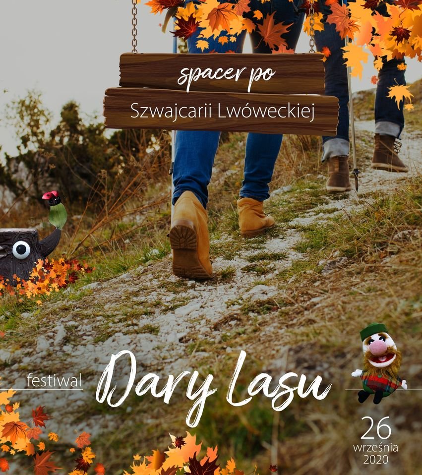dary-lasu-91427