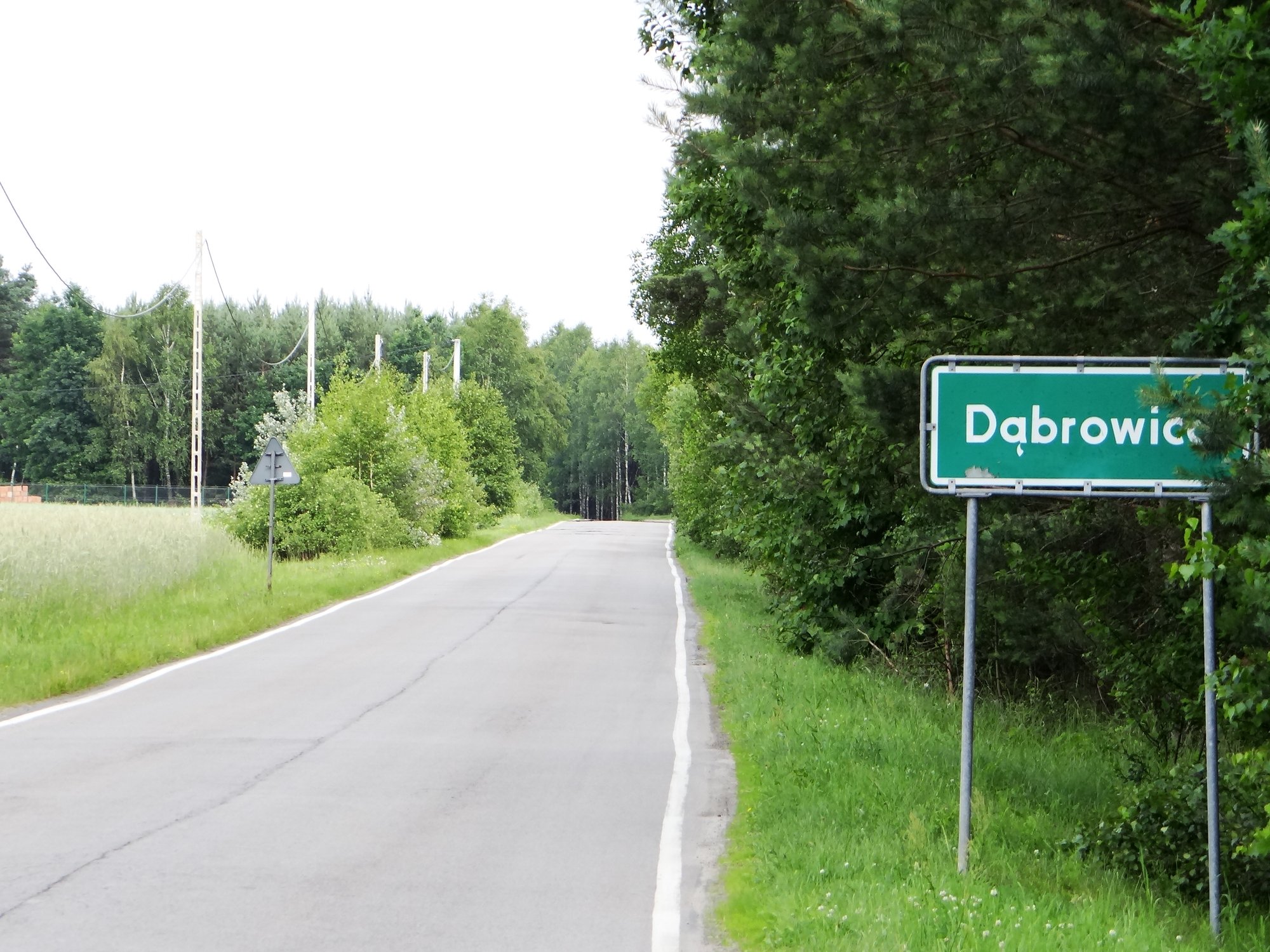 Kierunkowskaz do Dąbrowicy