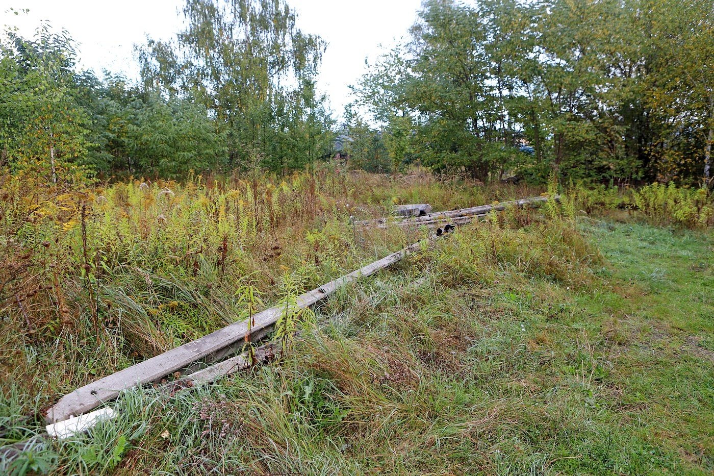 ulica-krakowska-gotowa-91666