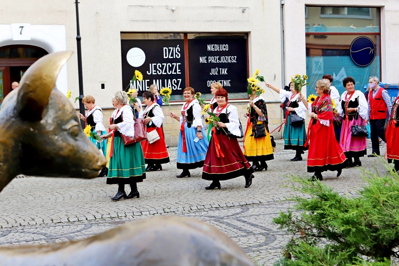 senioralia-rozpoczete-91784