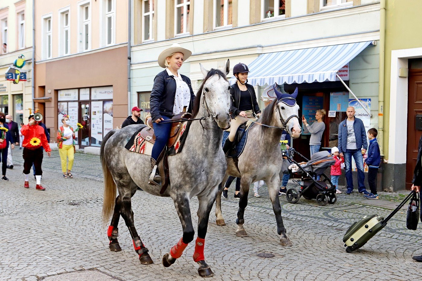 senioralia-rozpoczete-91784