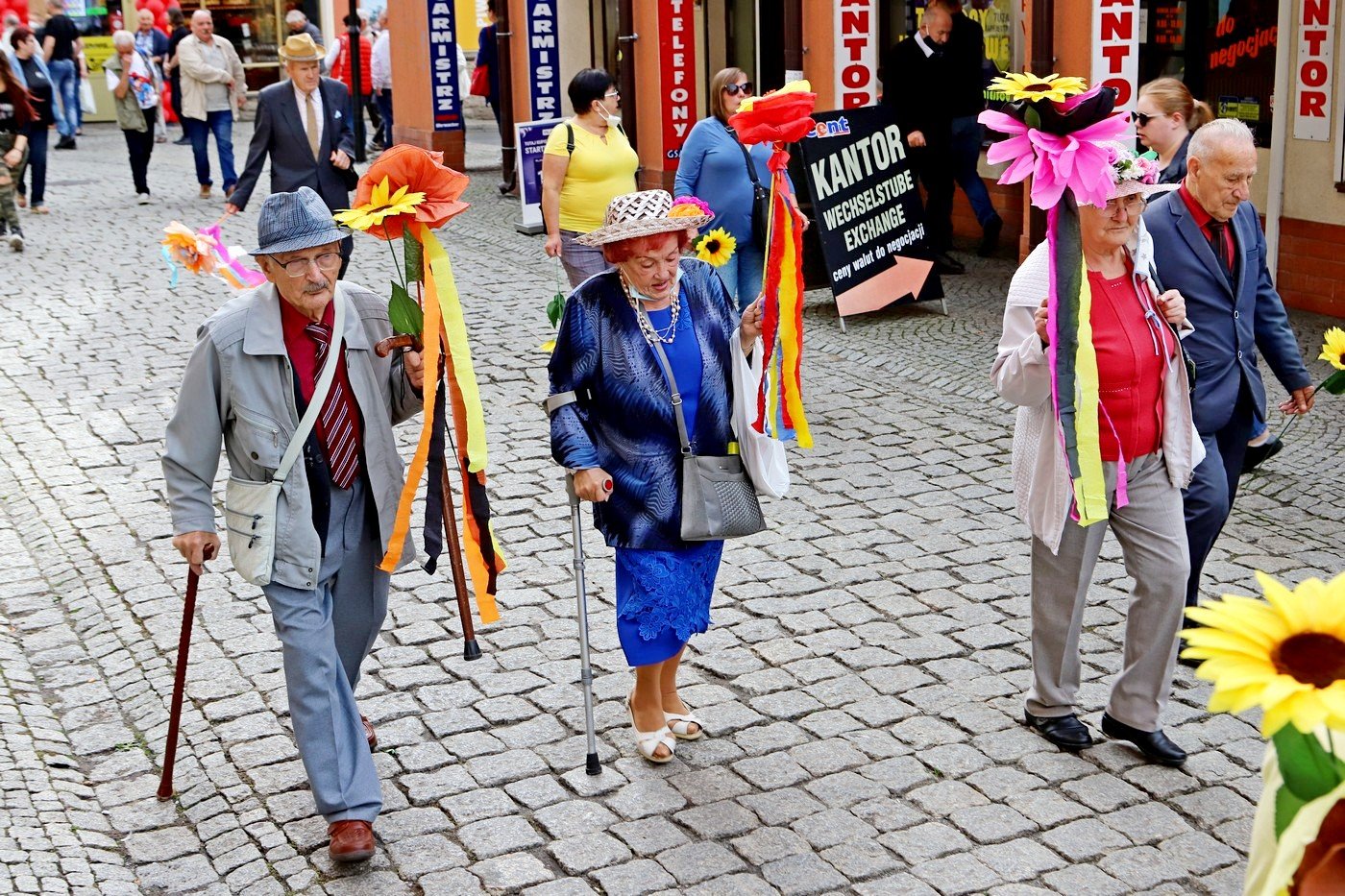 senioralia-rozpoczete-91784