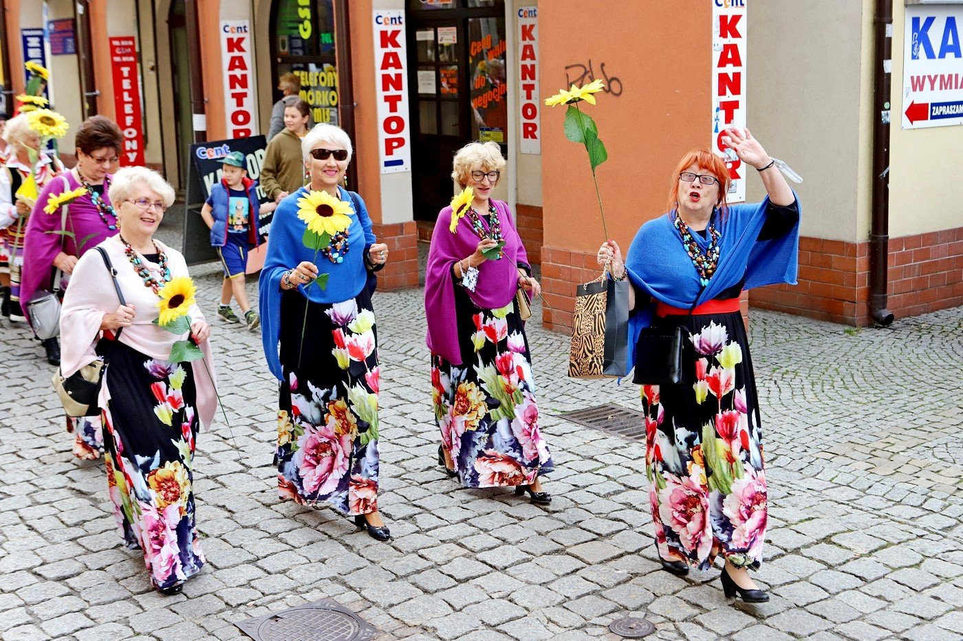 senioralia-rozpoczete-91784