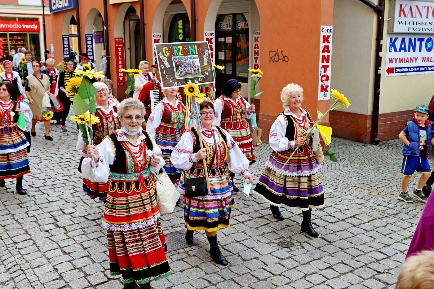 senioralia-rozpoczete-91784
