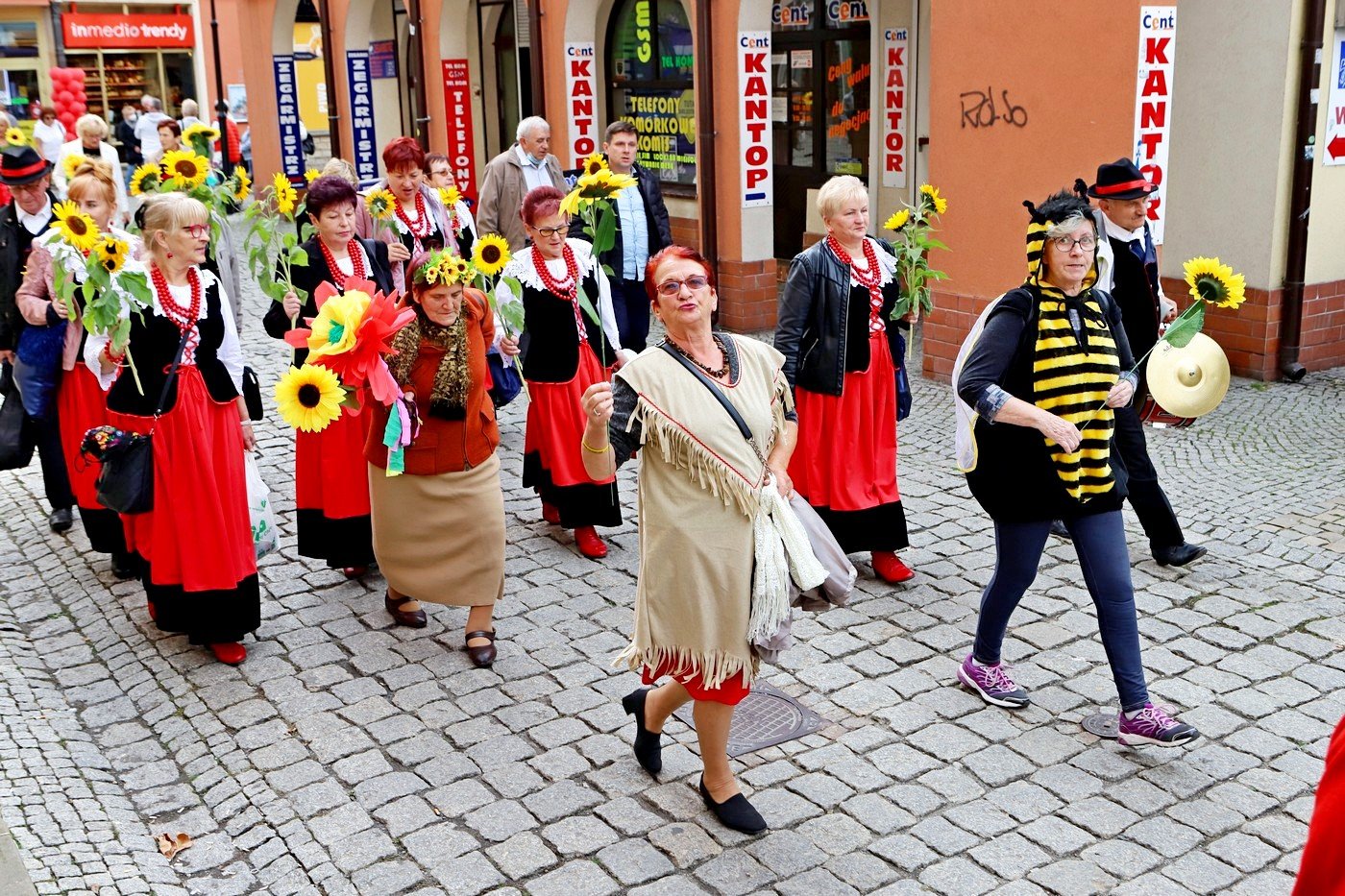 senioralia-rozpoczete-91784