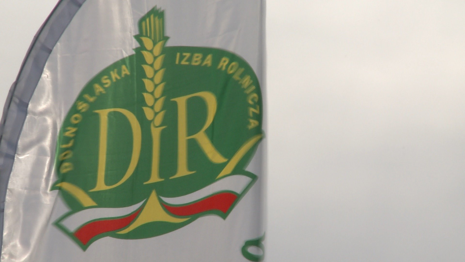 dolnoslaskie-swieto-zboz-91847