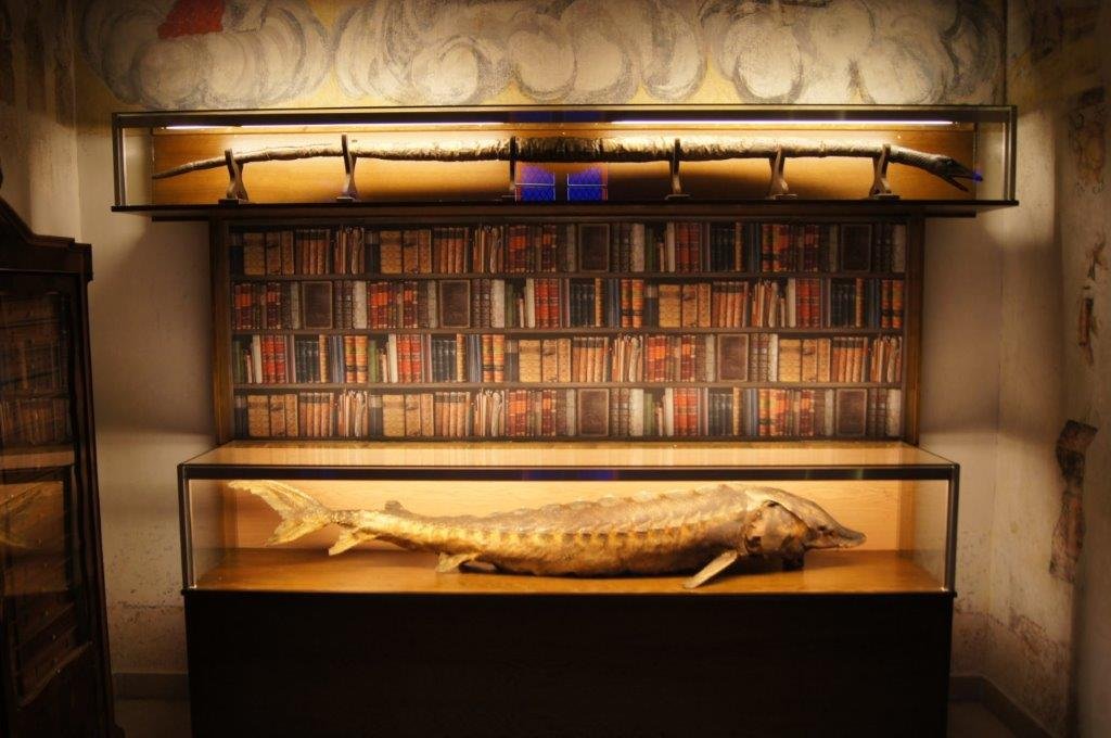 trudna-historia-muzeum-przyrodniczego-92151