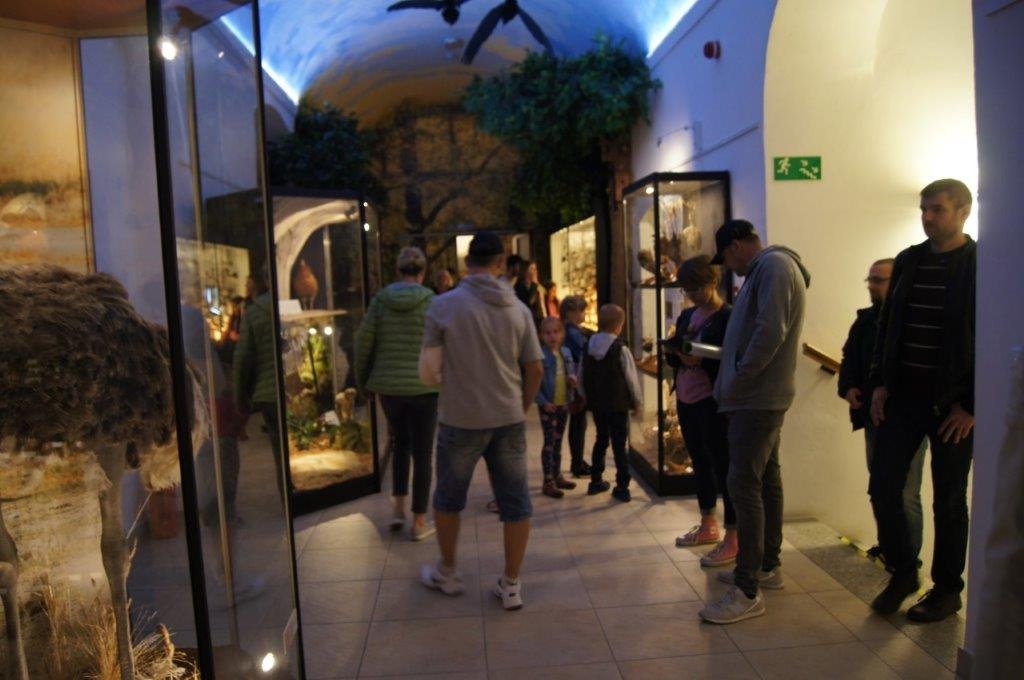 trudna-historia-muzeum-przyrodniczego-92151