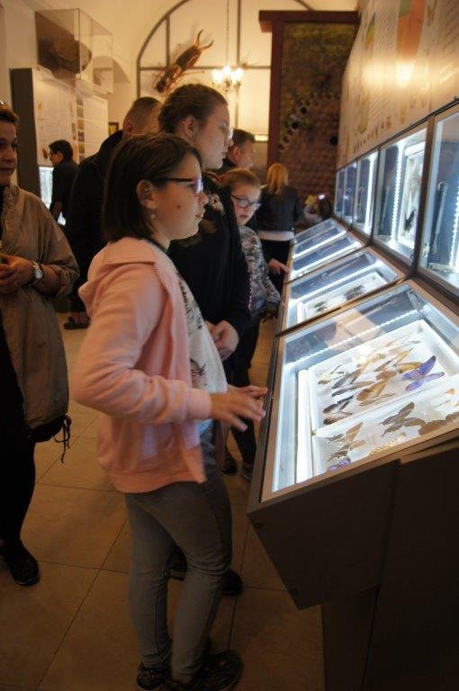 trudna-historia-muzeum-przyrodniczego-92151