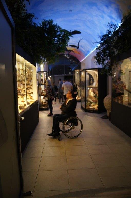 trudna-historia-muzeum-przyrodniczego-92151
