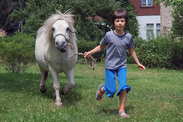 kucyk-w-dobre-rece-9221