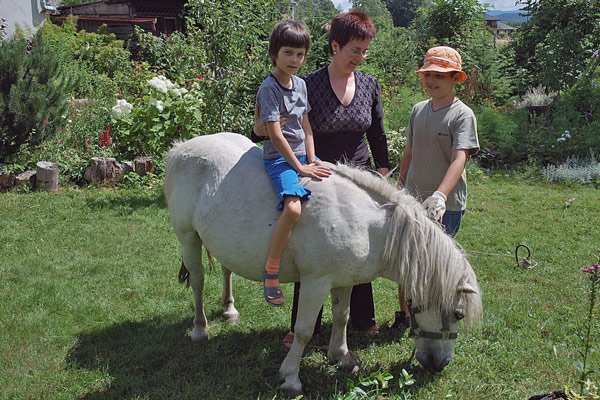 kucyk-w-dobre-rece-9221