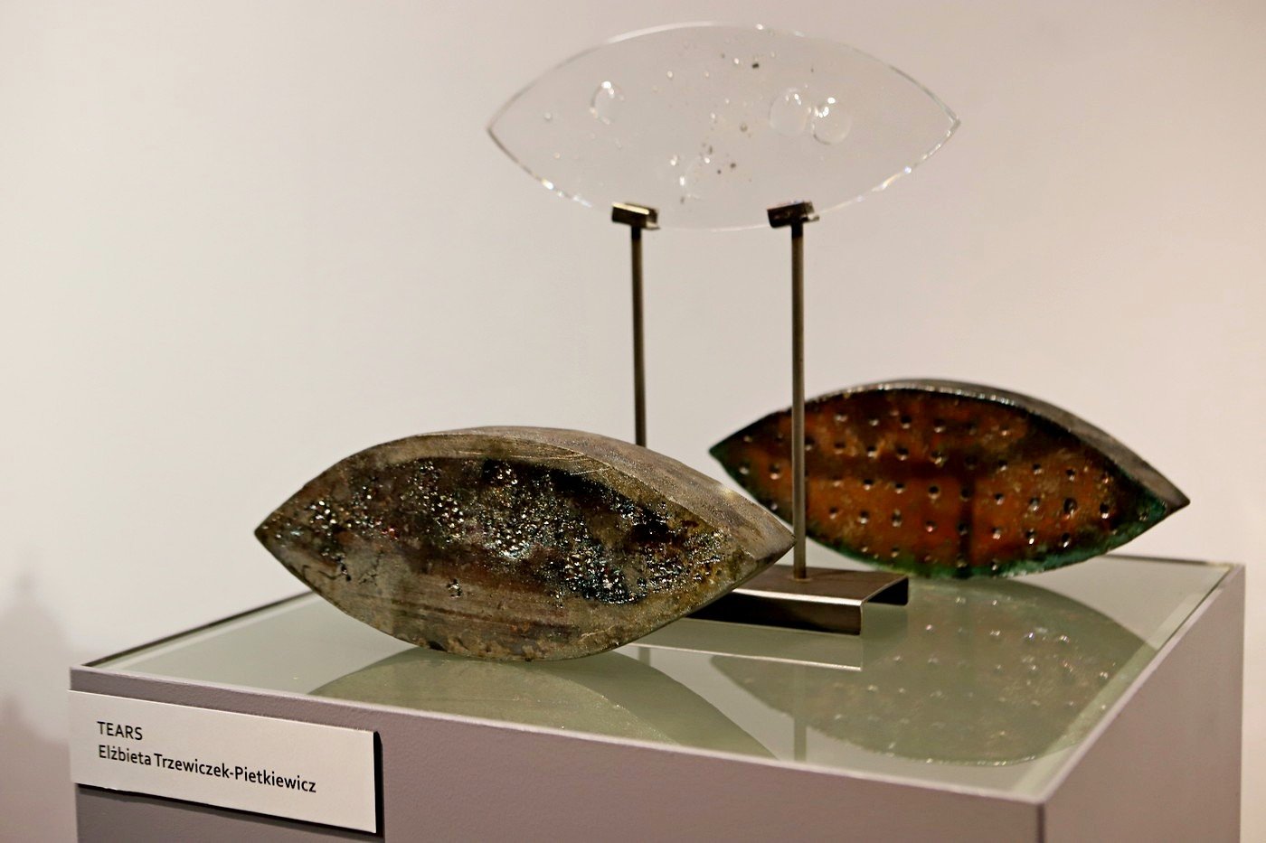 dziea-fritza-heckerta-w-muzeum-karkonoskim-92277