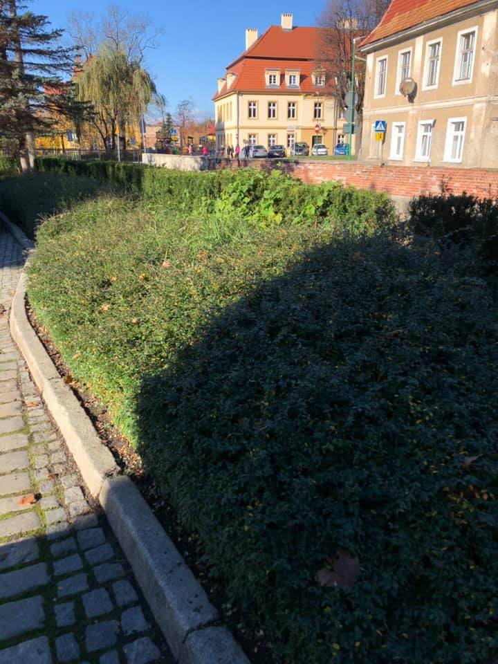 porzadki-przy-magistracie-92532