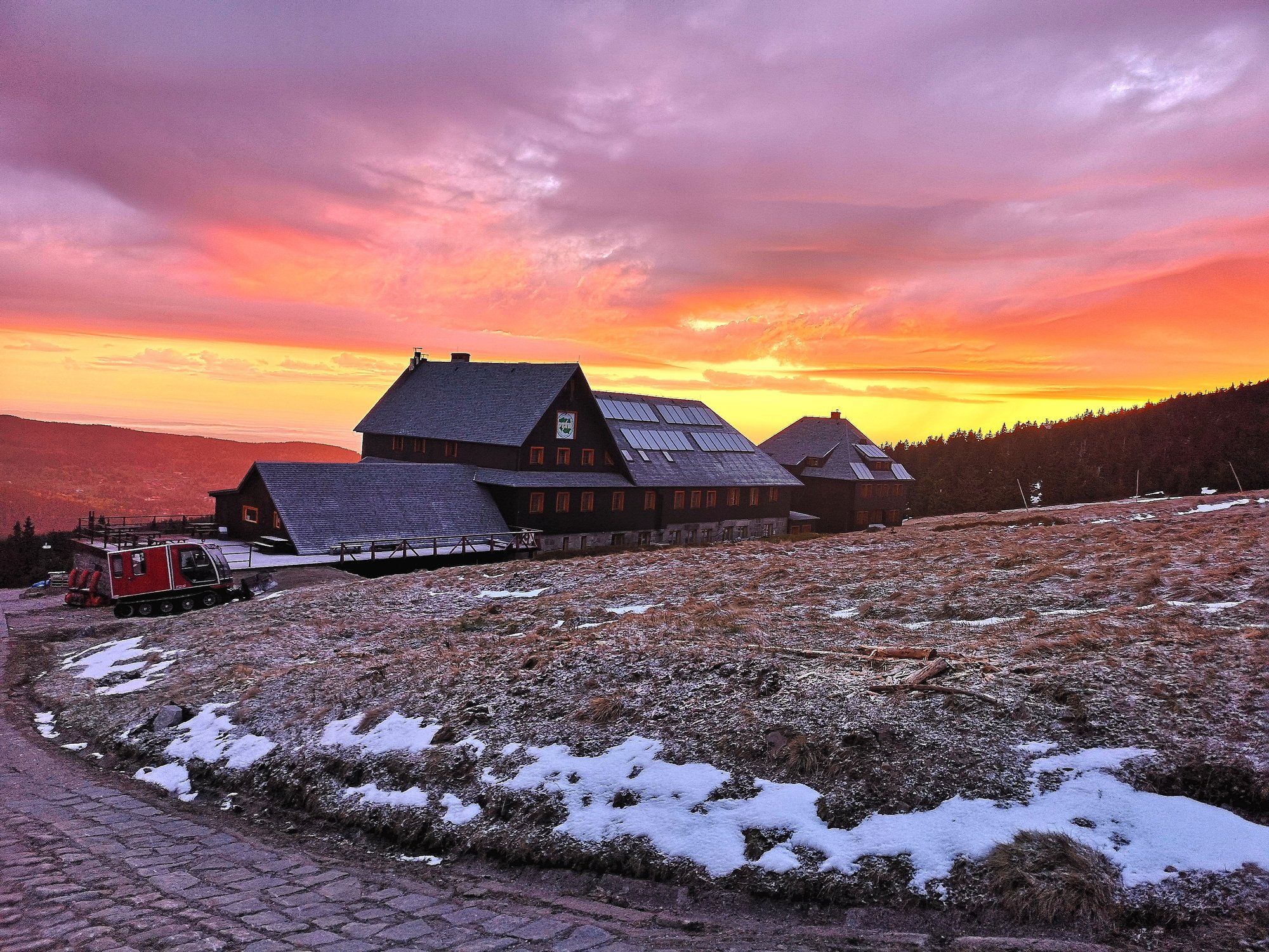 schroniska-nadal-otwarte-92537