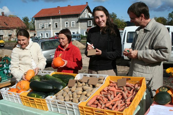 przyniesli-plon-9260