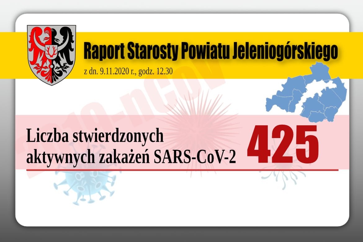 raport-o-zakazeniach-w-powiecie-jeleniogorskim-92601