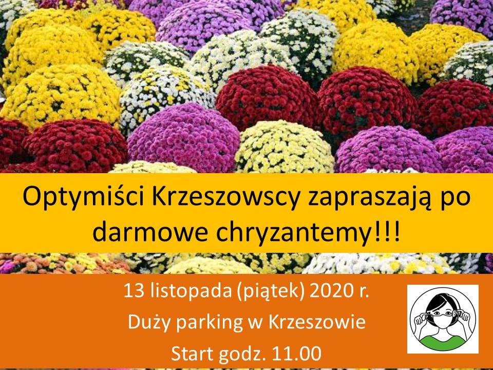 kwiaty-w-prezencie-92682