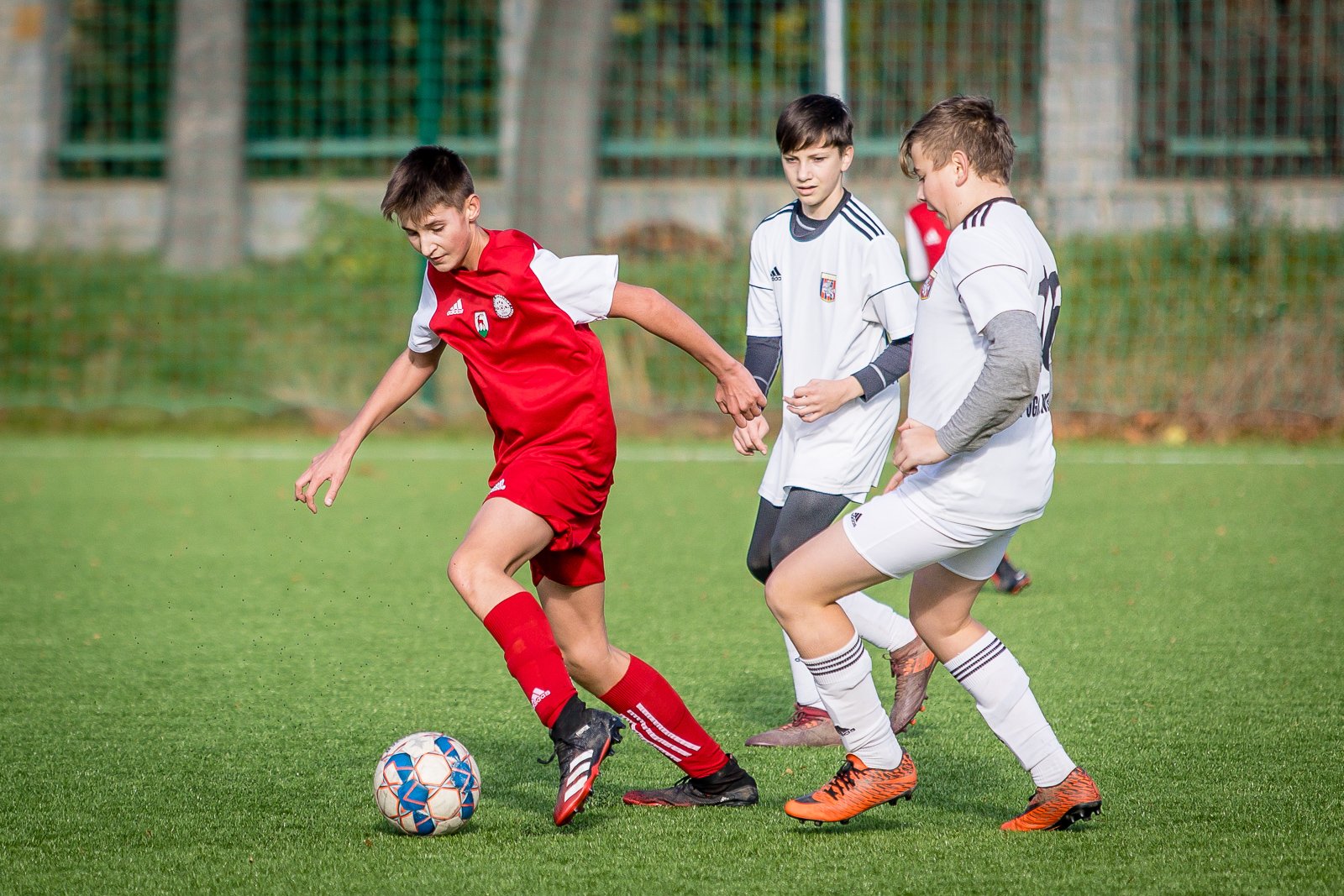 na-zakonczenie-porazka-z-pogonia-92737