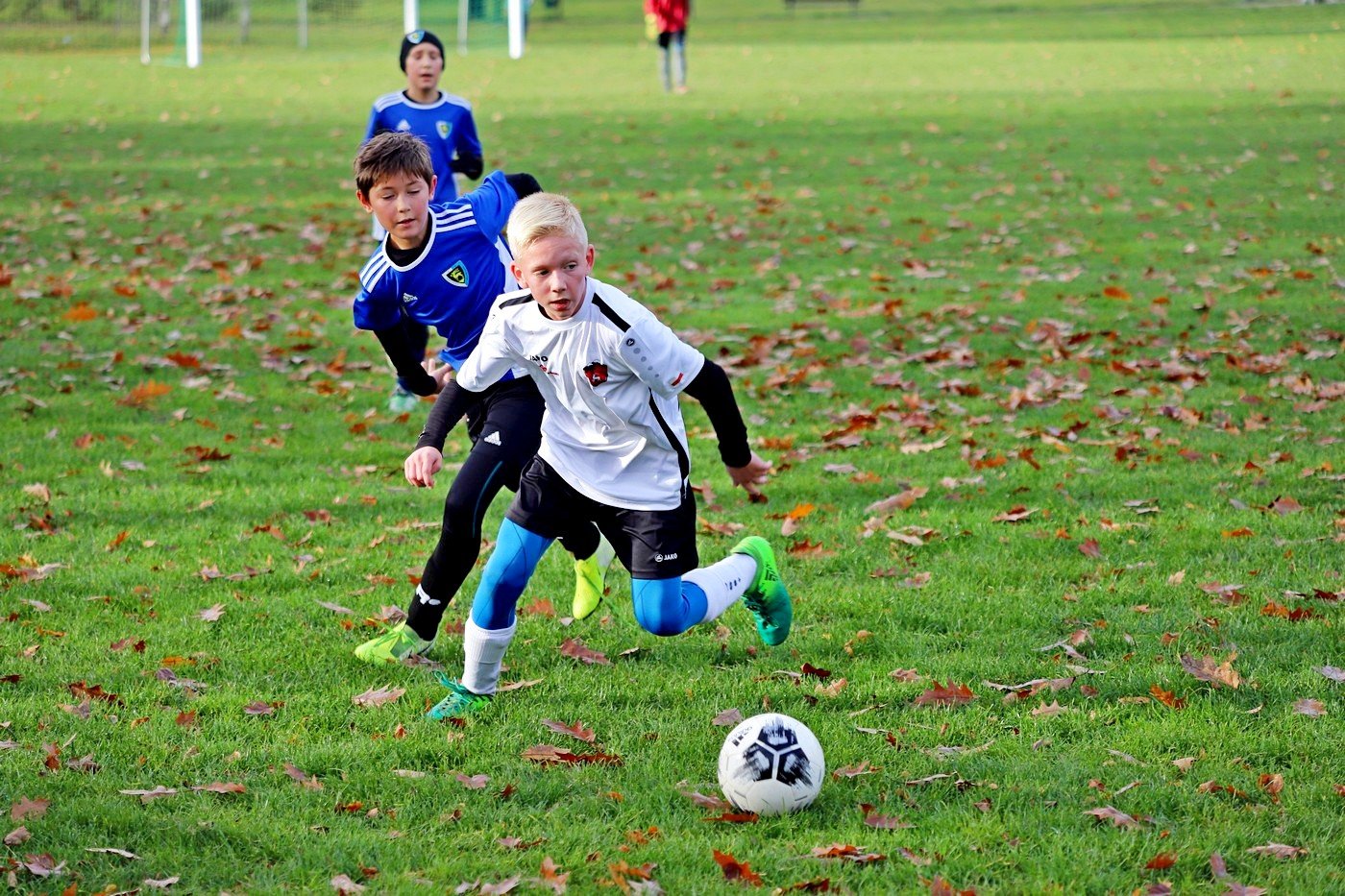 derby-modzikow-dla-chojnika-92741
