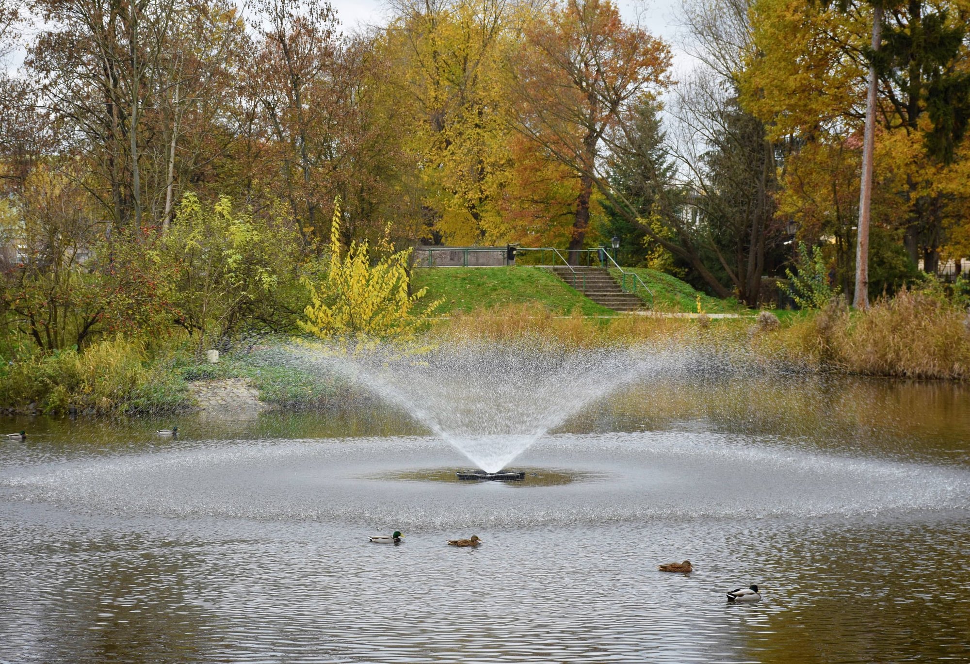 park-odzyskuje-blask-92807