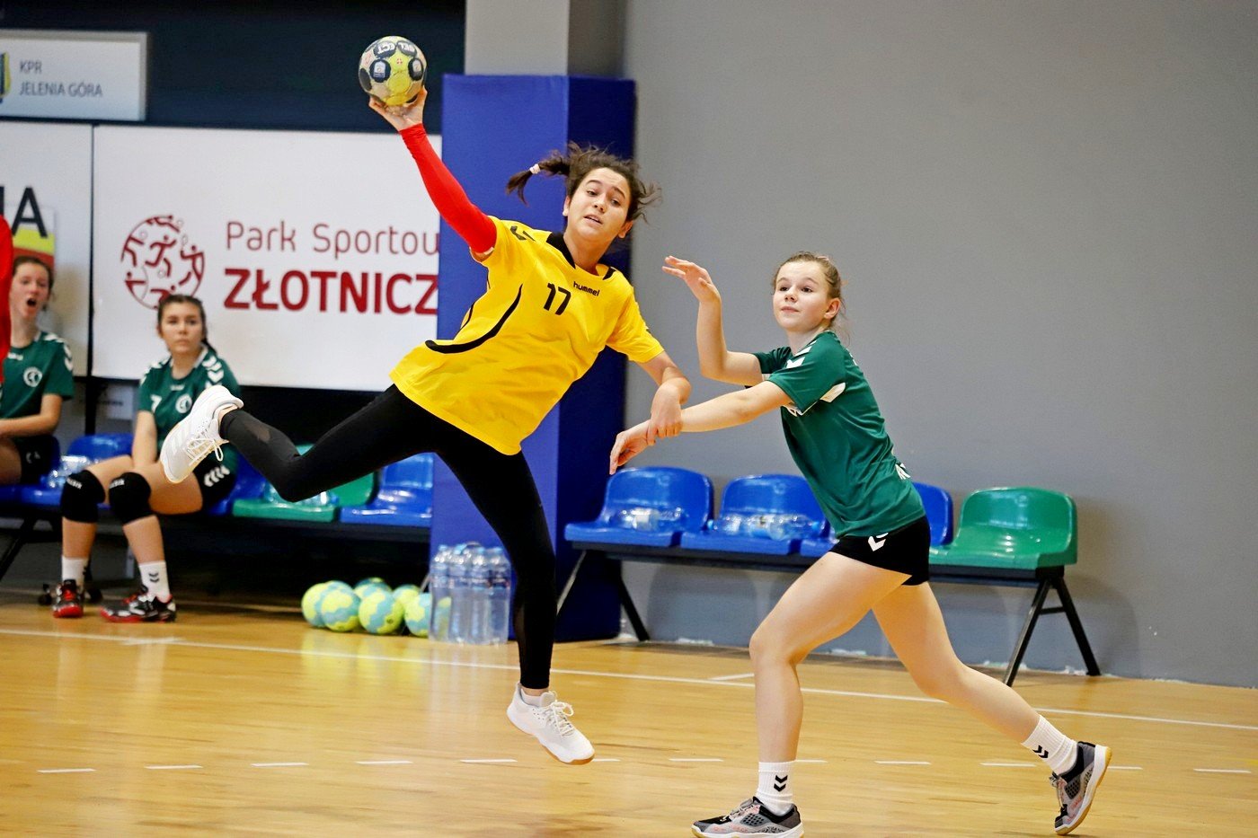 porazka-modziczek-karkonoszy-92834
