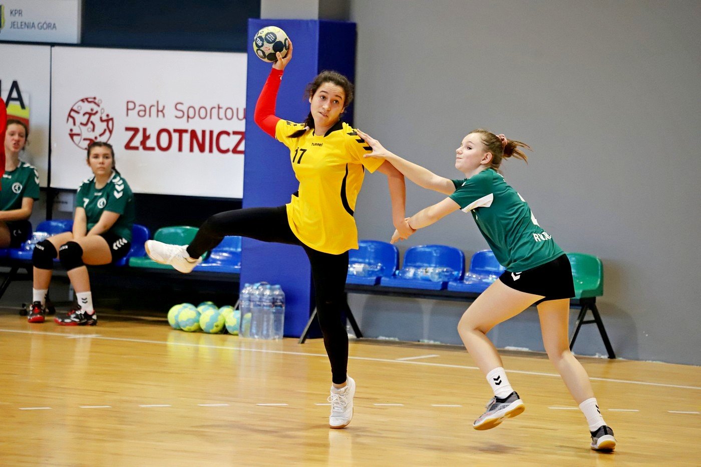porazka-modziczek-karkonoszy-92834