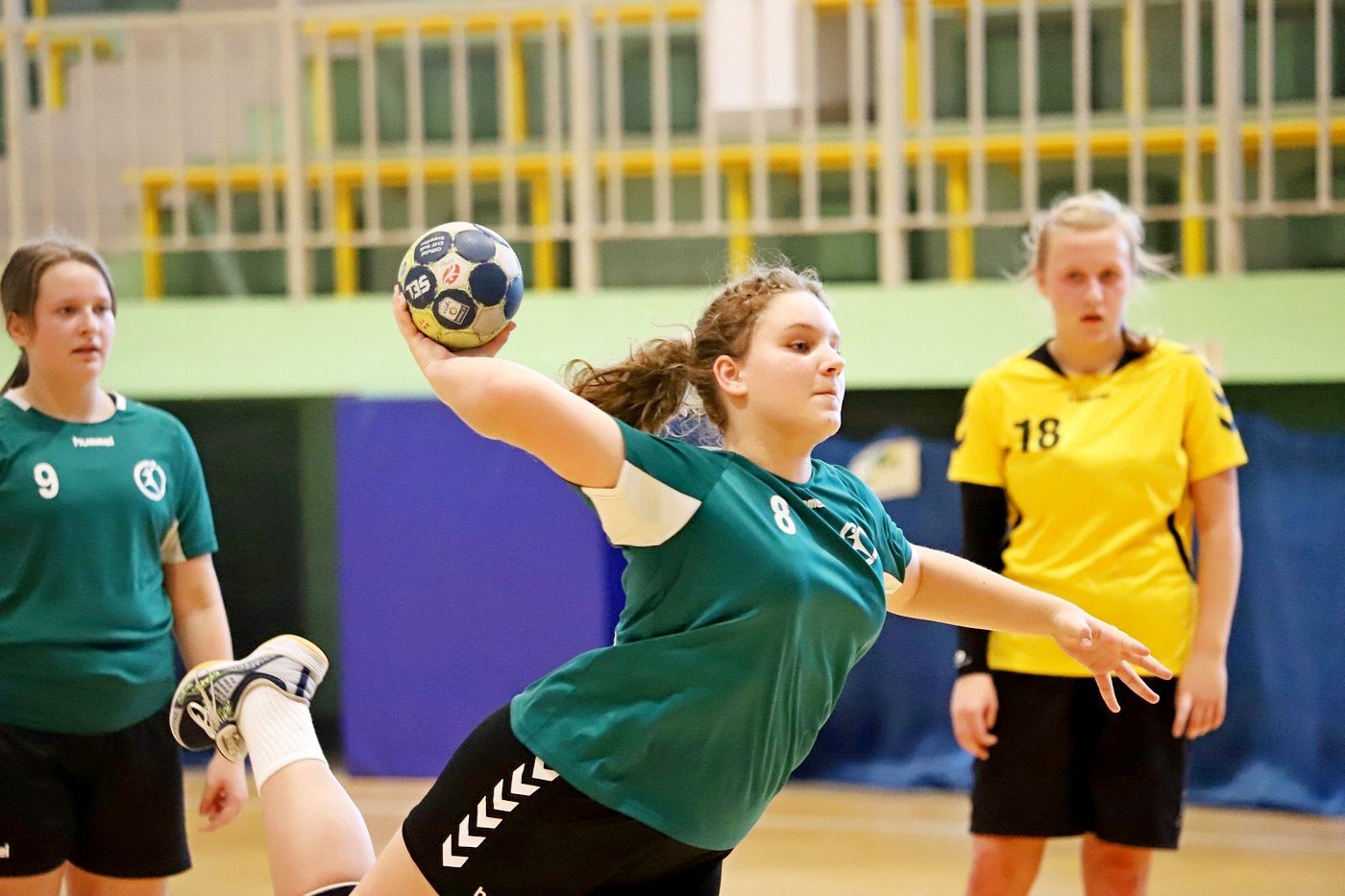 porazka-modziczek-karkonoszy-92834
