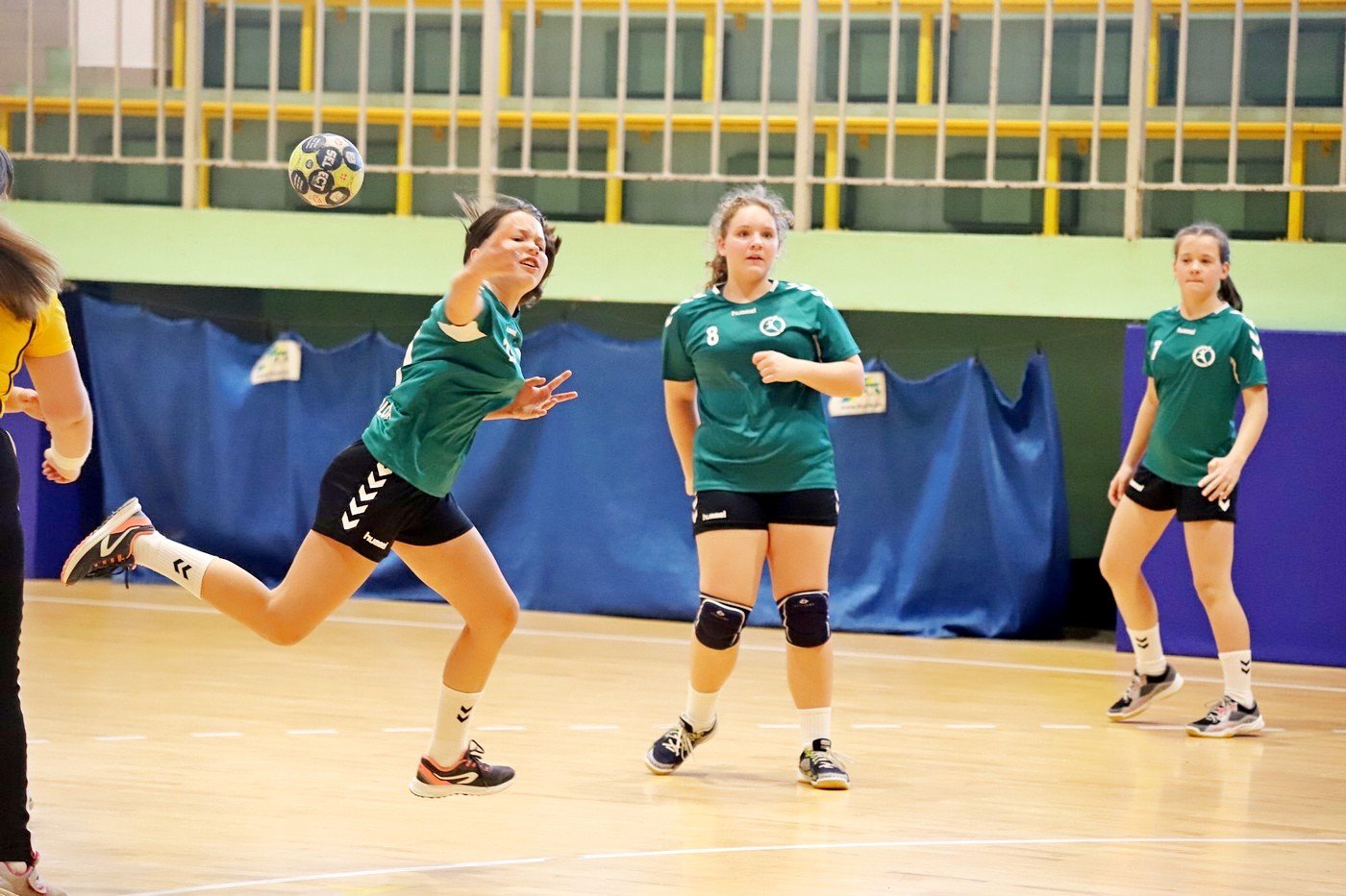 porazka-modziczek-karkonoszy-92834
