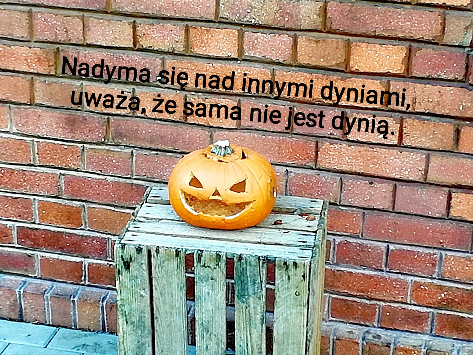 obrazem-i-tekstem-ku-zdrowiu-93035