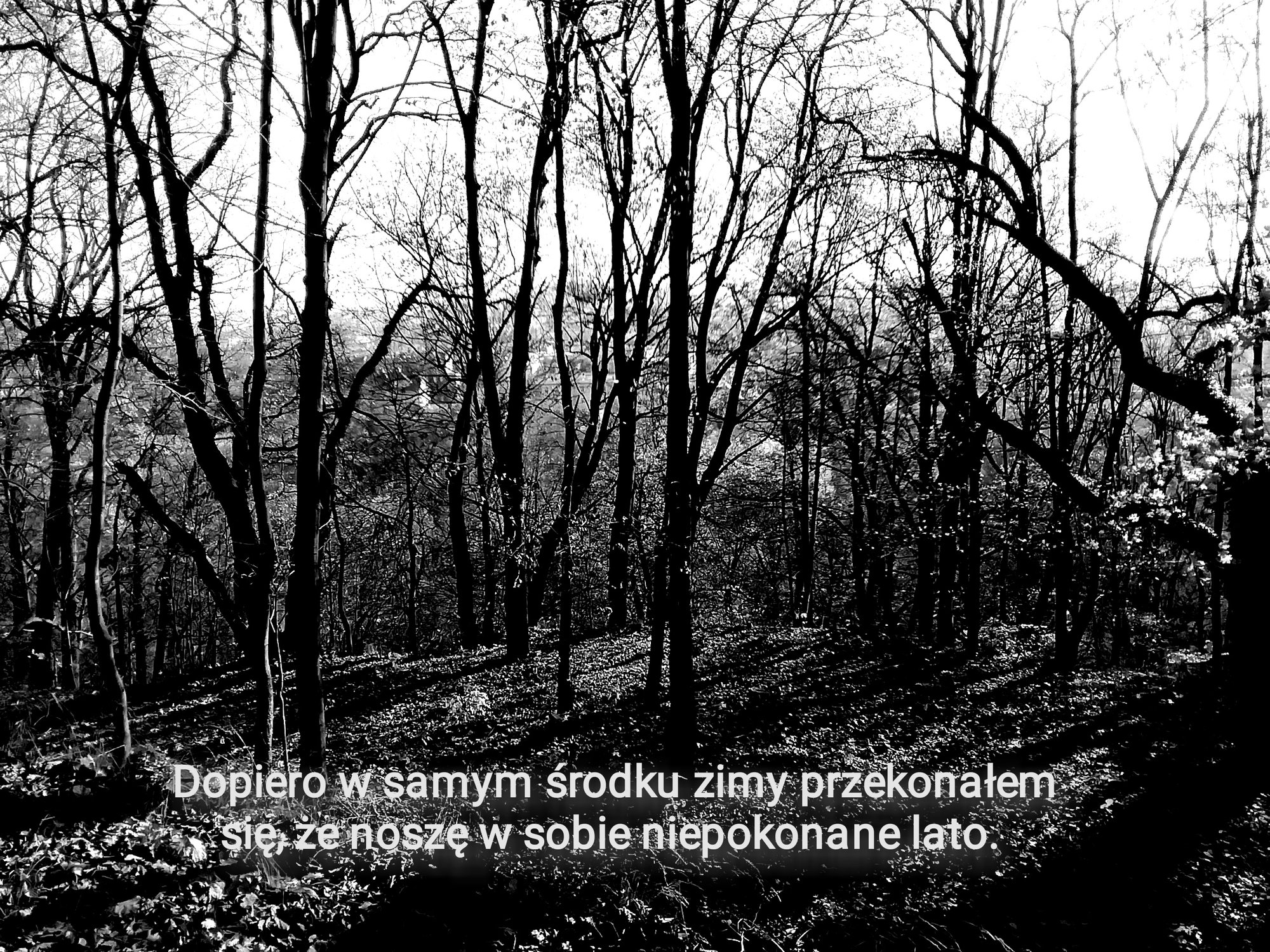 obrazem-i-tekstem-ku-zdrowiu-93035