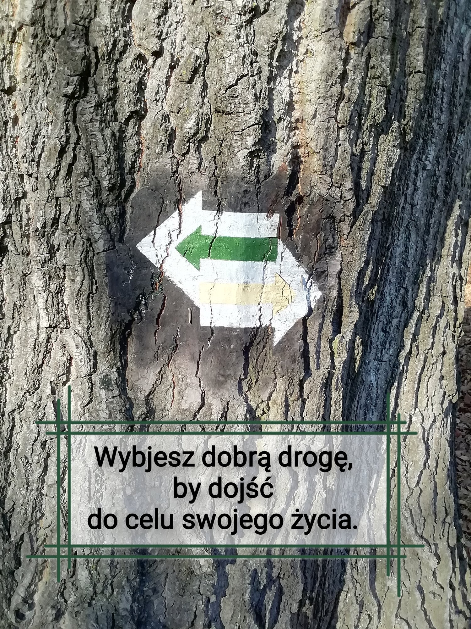 obrazem-i-tekstem-ku-zdrowiu-93035