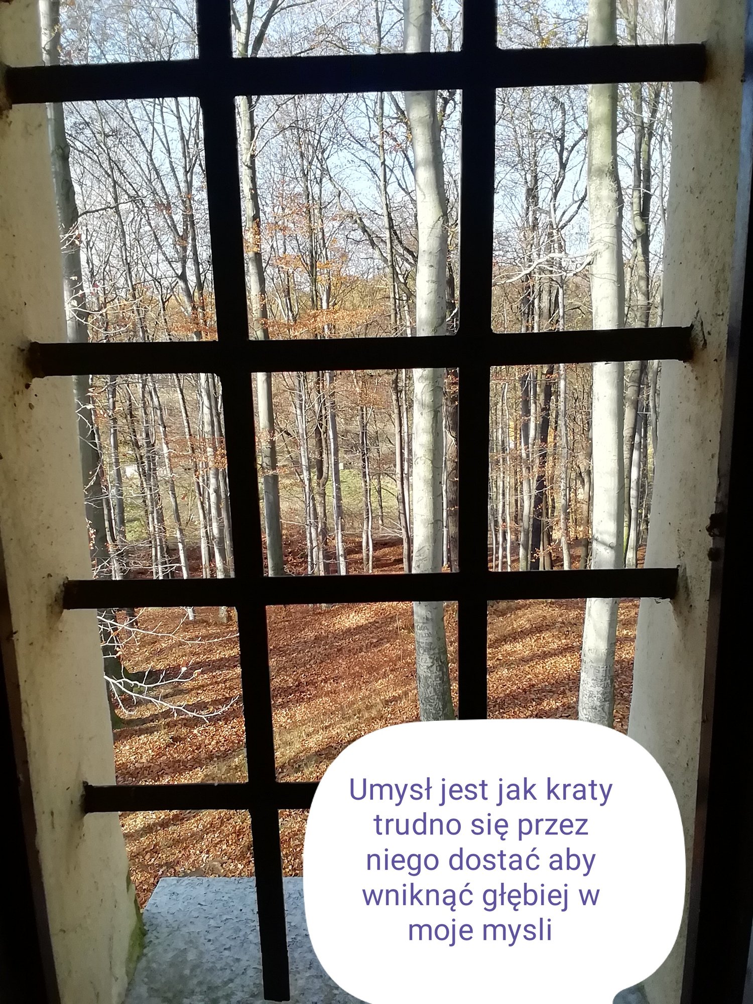 obrazem-i-tekstem-ku-zdrowiu-93035