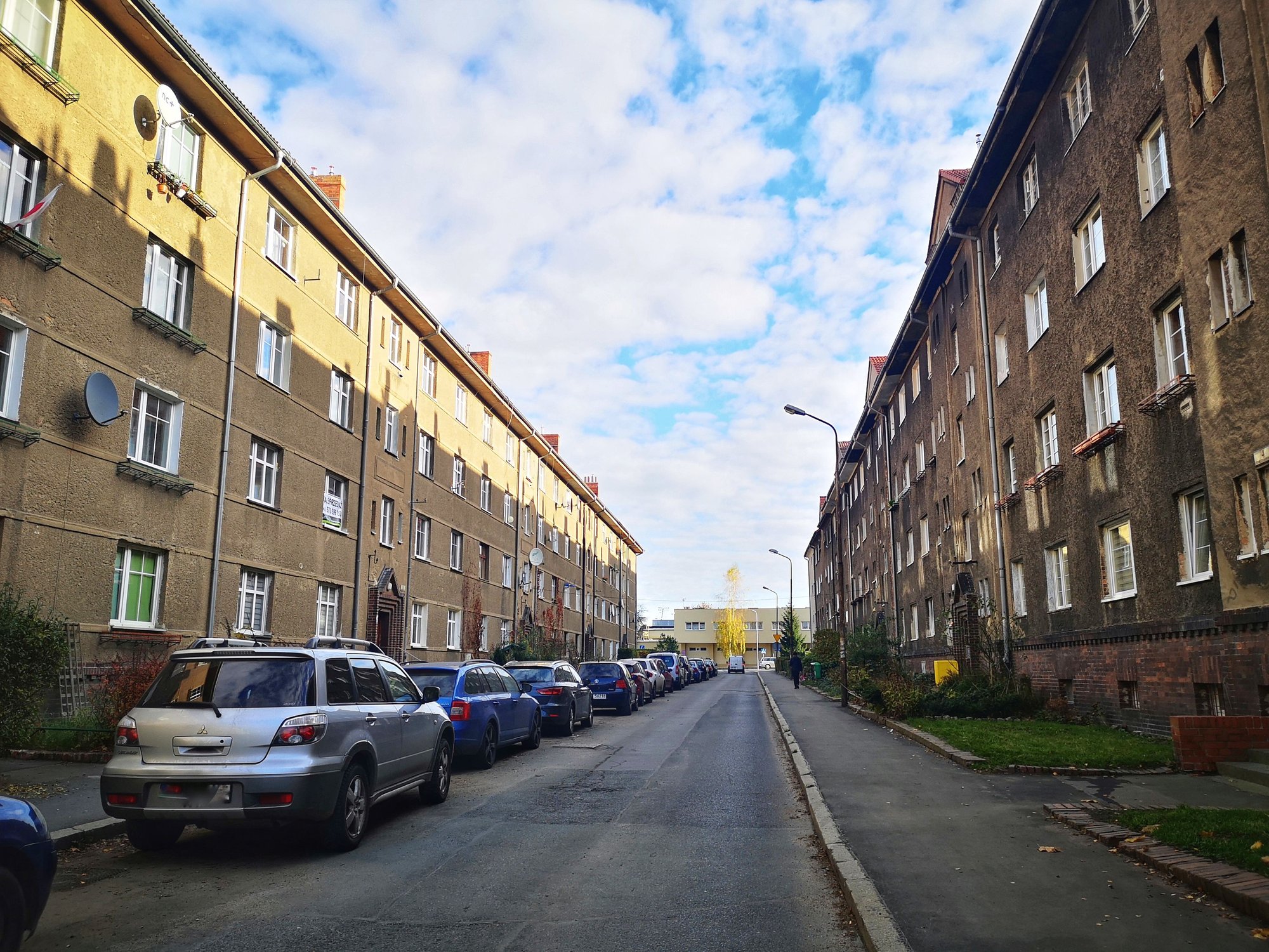 jednak-zrobia-swietojanska-93093