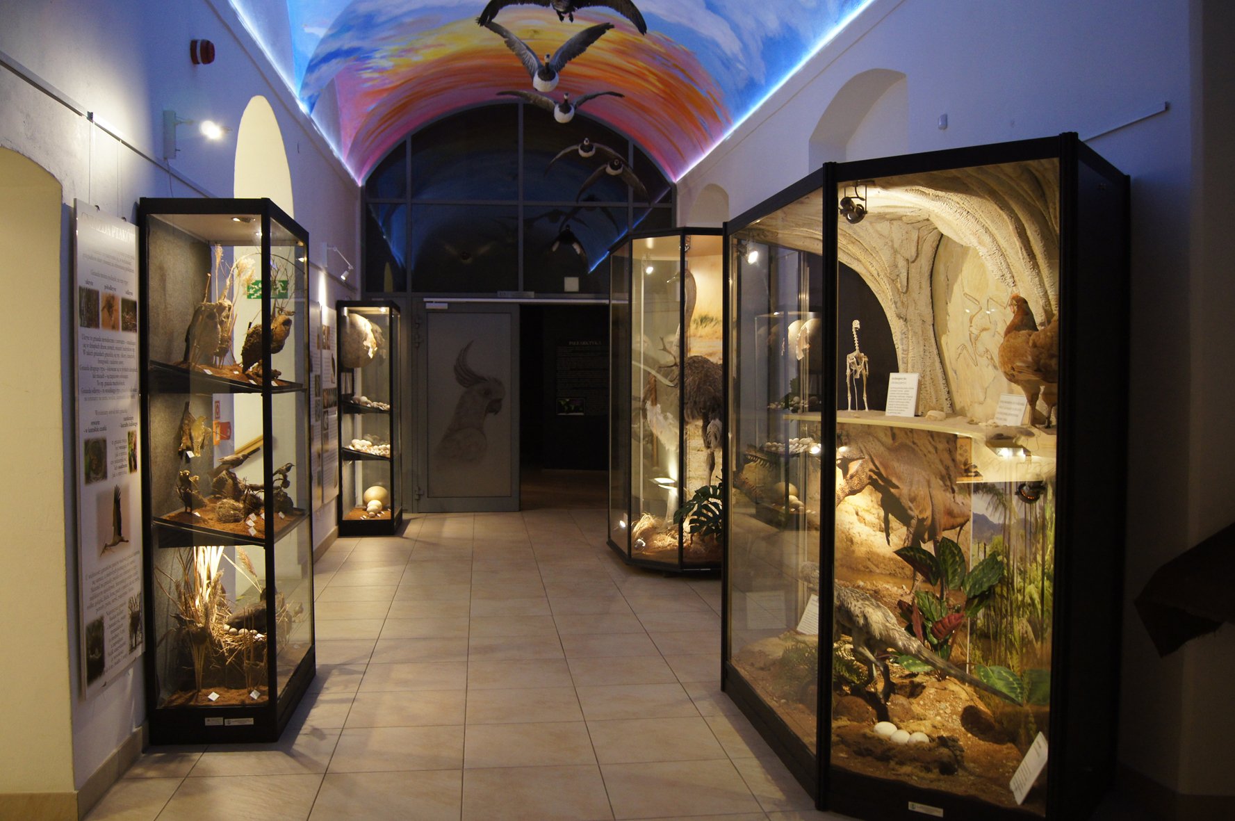 jedyna-taka-wystawa-w-muzeum-przyrodniczym-93148