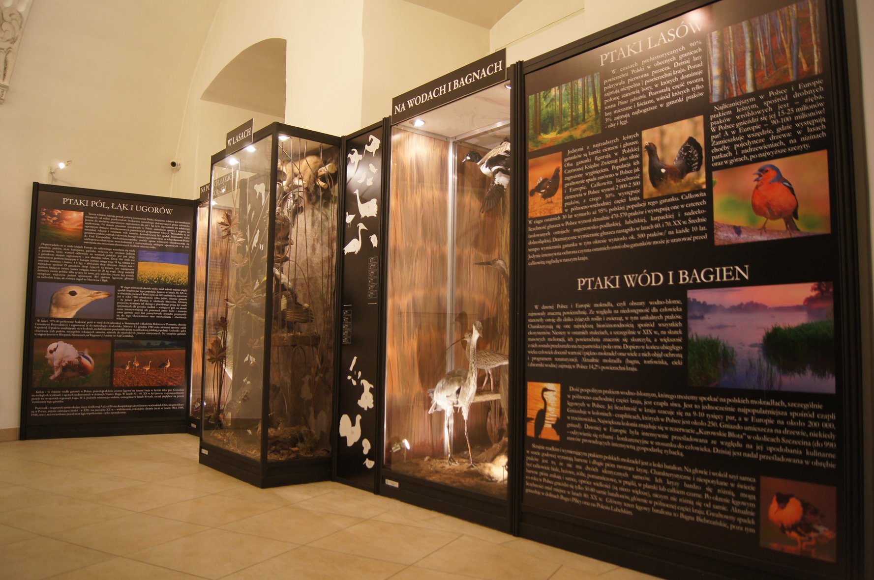 jedyna-taka-wystawa-w-muzeum-przyrodniczym-93148