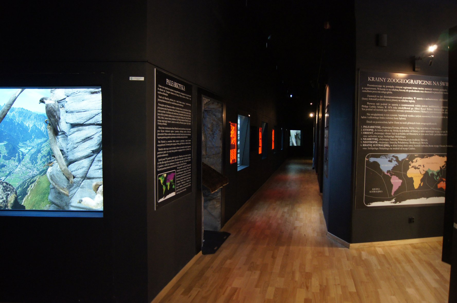 jedyna-taka-wystawa-w-muzeum-przyrodniczym-93148