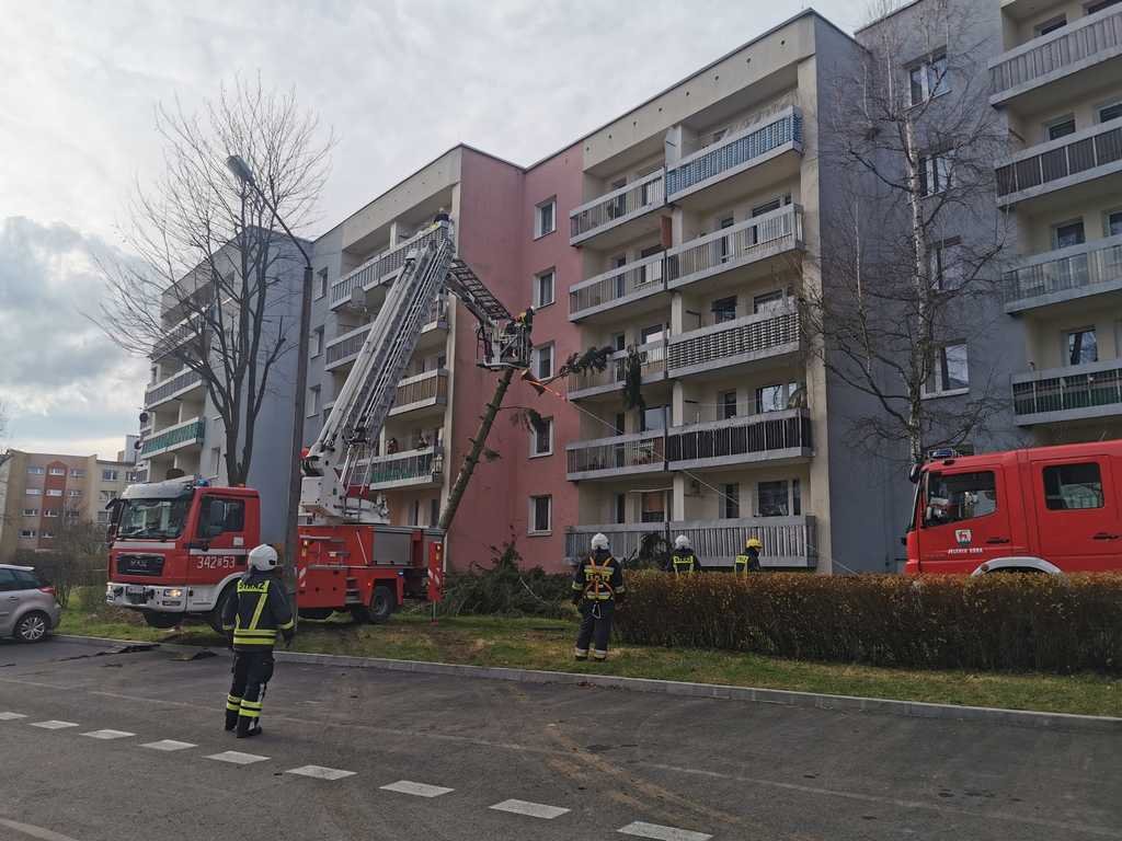 wichura-wyrzadzia-szkody-93186