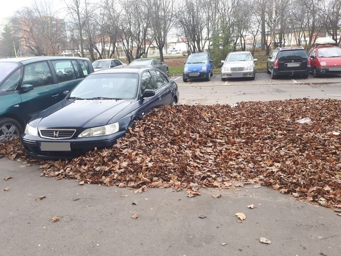 kto-posprzata-parking-93211