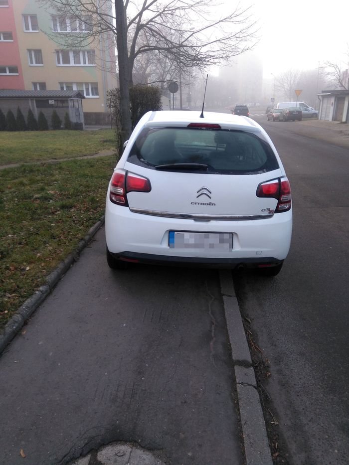 oto-mistrz-parkowania-93310