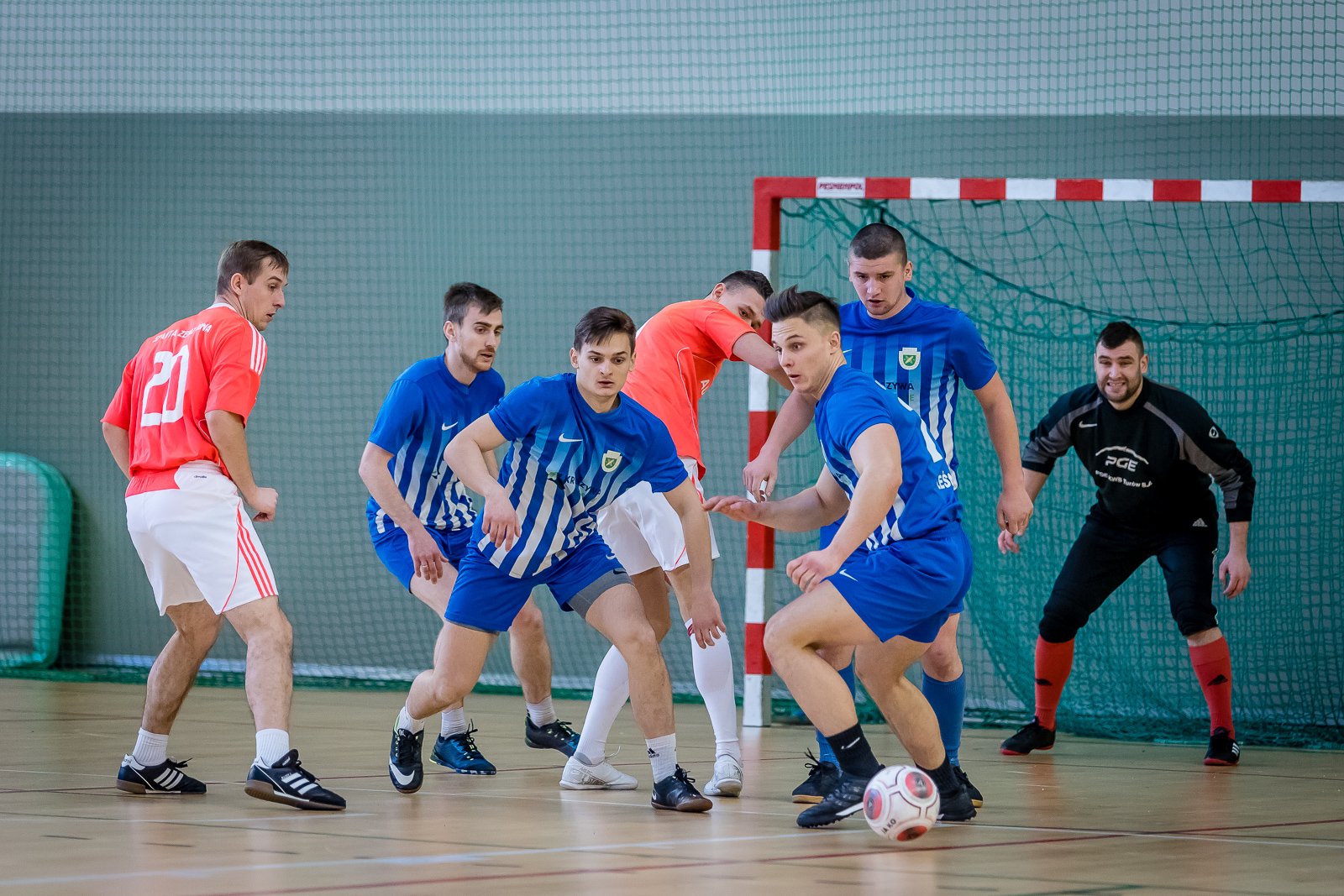 w-hali-kpsw-triumfowa-wokniarz-lesna-93610