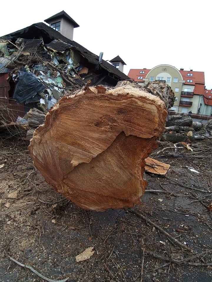 zniszczona-wypozyczalnia-sprzetu-rehabilitacyjnego-93714