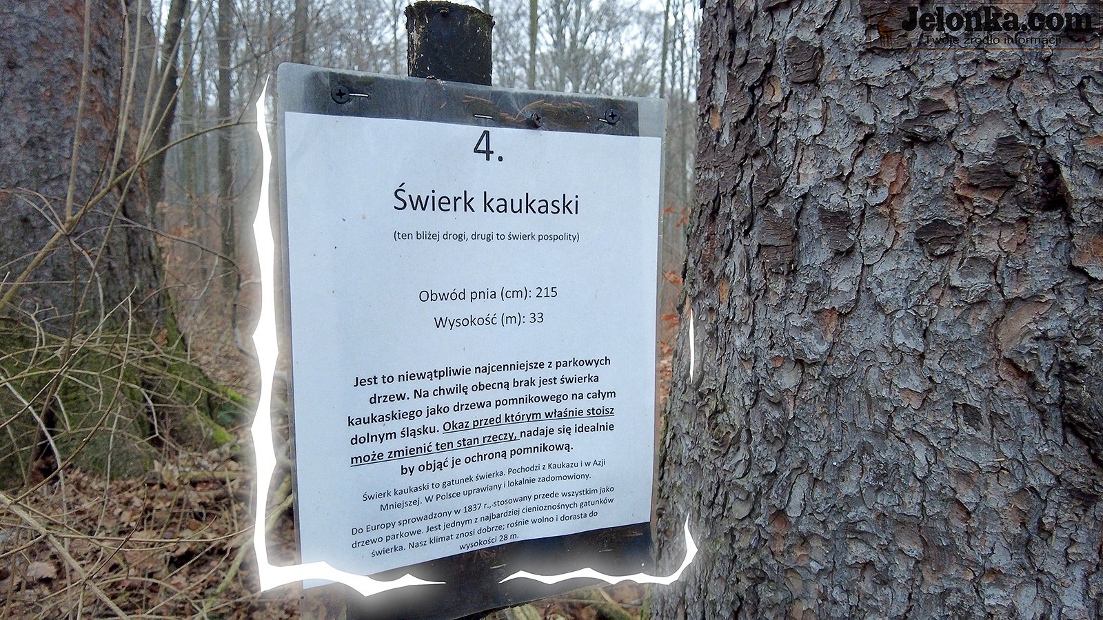 ten-park-warto-zobaczyc-93778