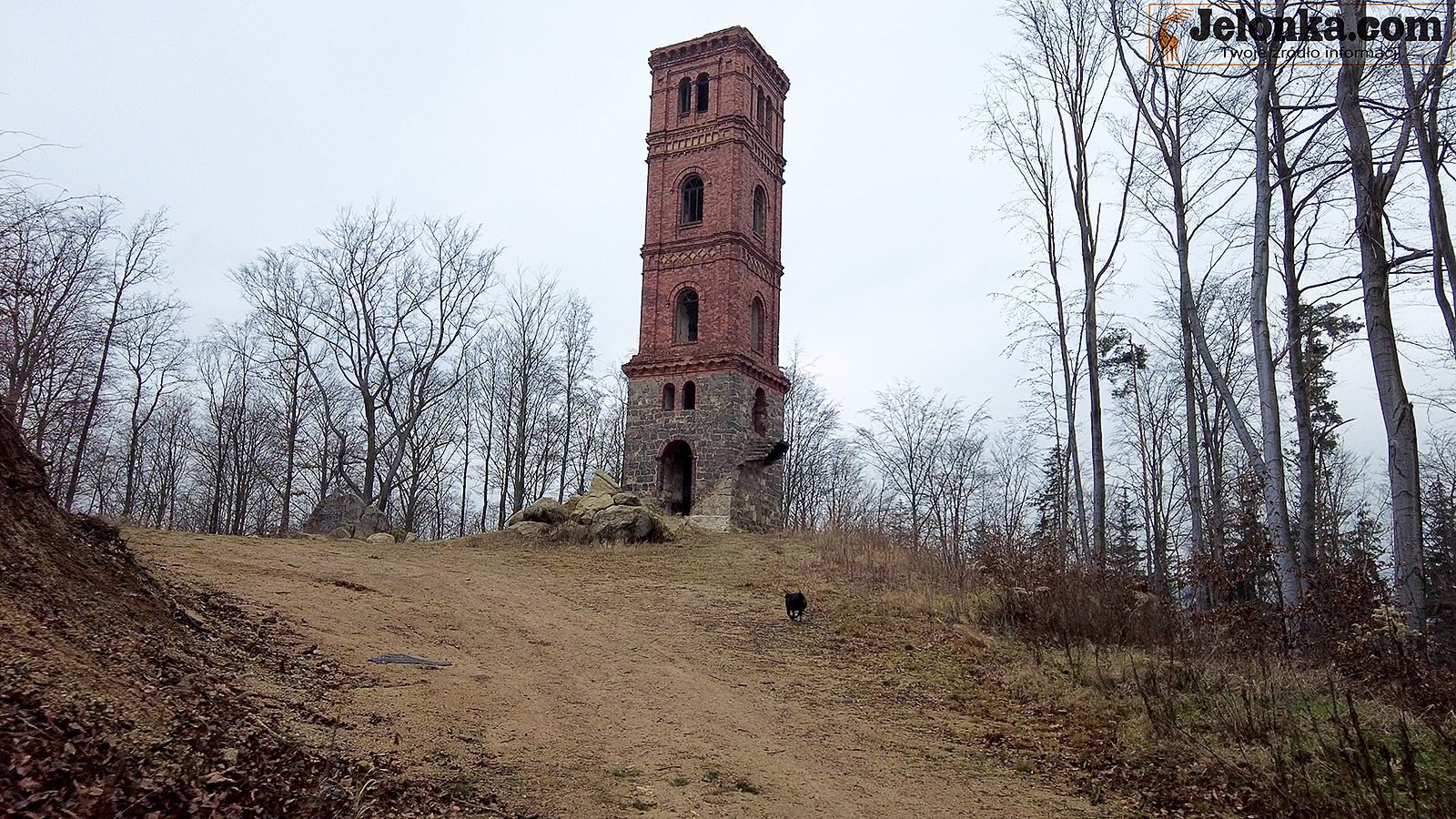 ten-park-warto-zobaczyc-93778