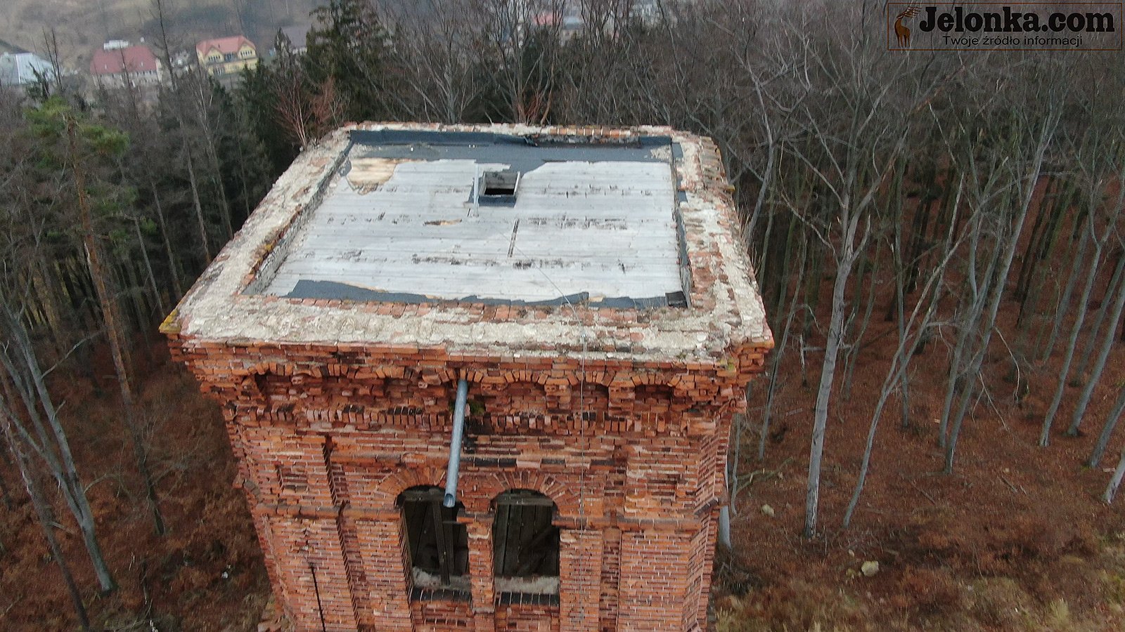 ten-park-warto-zobaczyc-93778