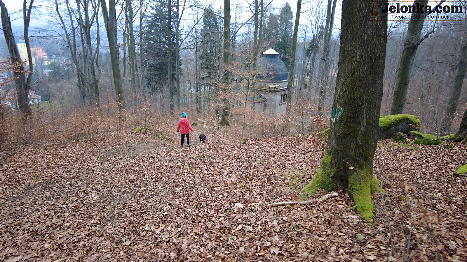 ten-park-warto-zobaczyc-93778