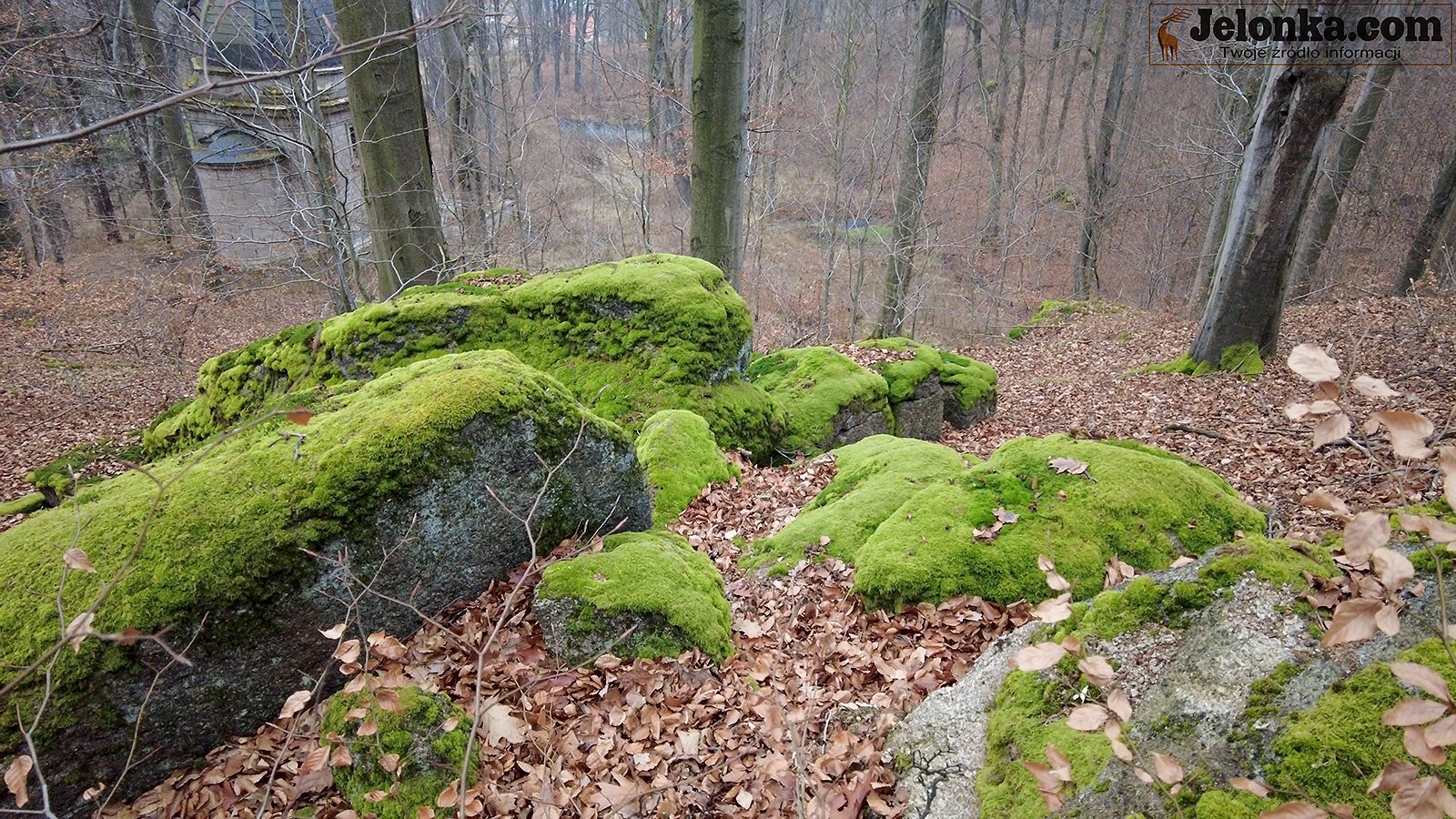 ten-park-warto-zobaczyc-93778